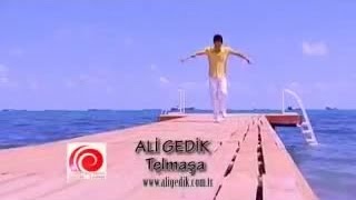 Ali Gedik - Telmaşa Resimi