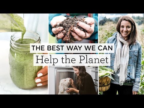 BENEFITS OF A PLANT-BASED DIET ‣‣ & how you can help the planet