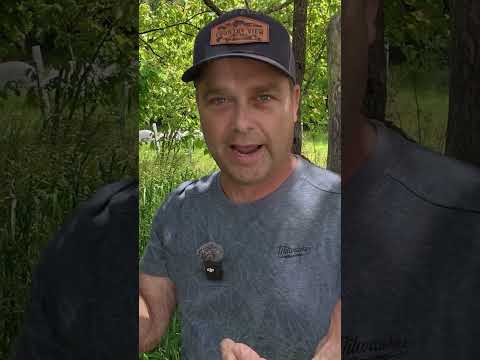 Coolest Trail Camera Yet!  The Reolink TrackMix 4G Camera.  Automatically Tracks Animals