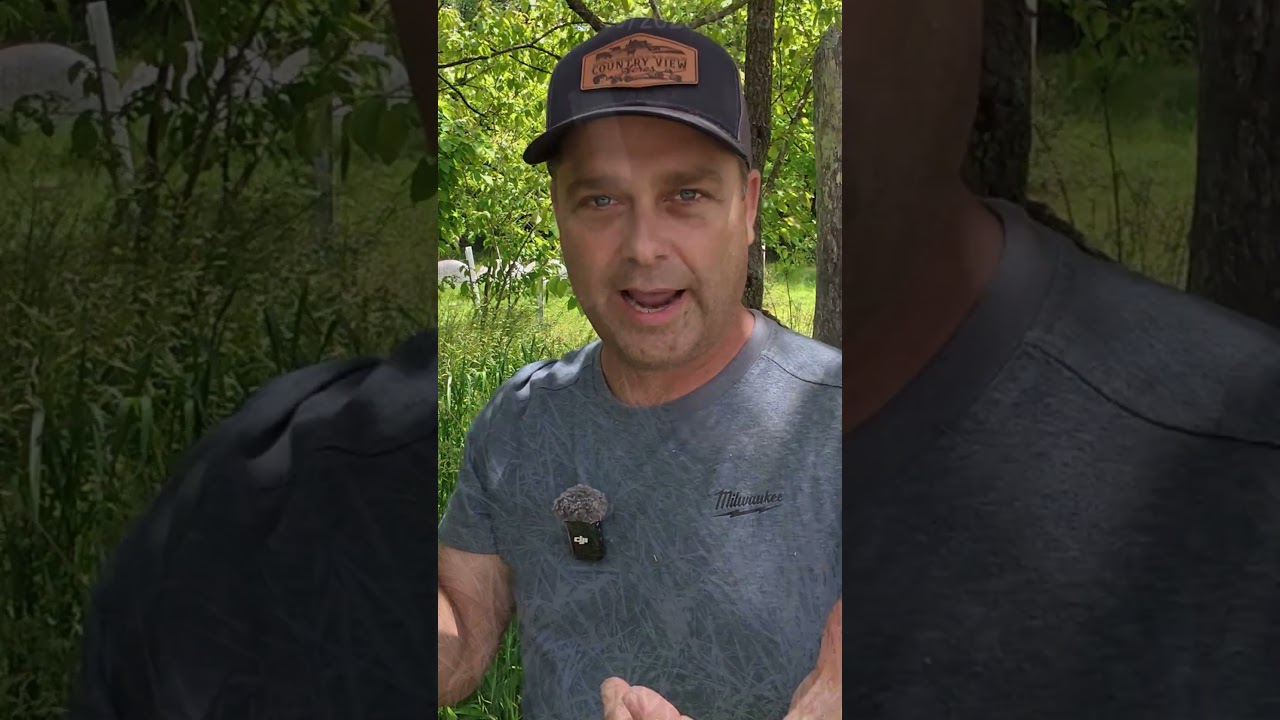 Coolest Trail Camera Yet!  The Reolink TrackMix 4G Camera.  Automatically Tracks Animals