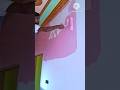 Asian paints colour Royal Glitz Dining room pink colour #wallpainting #shorts #viral #video #yt