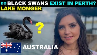 PERTH LAKE MONGER - The Quest to see a BLACK SWAN!