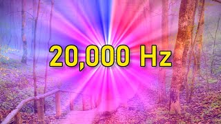 20 THOUSAND Hz (20000 Hertz) INSTANTLY CALMING 4th Dimensional Frequency: PURE CLEAN BINAURAL TONES