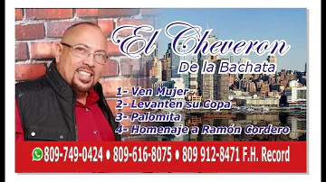 EL CHEVERON DE LA BACHATA - LA TOALLA