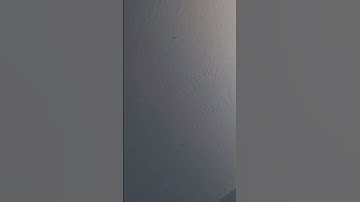 wood log splitter bucky (acoustic)