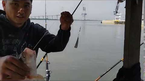 Câu cá giải trí, săn cá Sủ Vàng thành công | Sông Nước Cần Giờ - Châu Huỳnh.