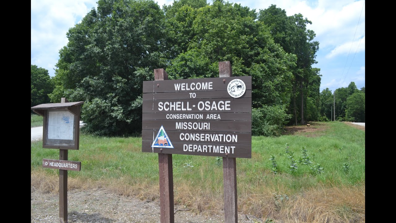 SchellOsage Conservation Area (Schell City, MO) YouTube