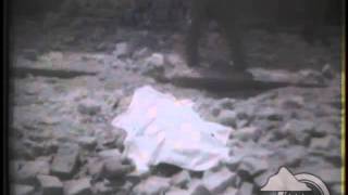 BOGOTA QUAKE