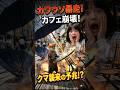 【放送事故】市街地にクマ出現!? カフェ店員の末路がヤバい #おもしろ動画 #シュール #ハプニング