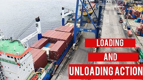 Container Ops Unleashed: Epic Unloading & Loading at NorthPort! | Quay Crane Operation