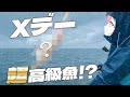 【 #うおロケ 】トラフグXデー。超高級魚を釣ってしまった…【紅波マダイ 2鯛目 / #うおむすめ】