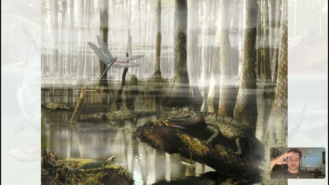 GLG102IN Online - Unit 10 Lecture Section 6 - Mississippian Period v2