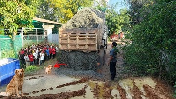 Completely!! Skill Bulldozer Spreading Gravel To Build Foundation Road & Dump Truck Unloading Gravel