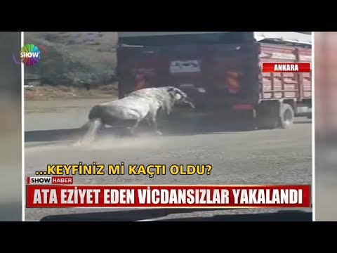 Ata eziyet eden vicdansızlar yakalandı