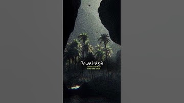 سورة القصص | ياسر الدوسري #قرآن #quran #قران_كريم #ياسر_الدوسري #سورة_القصص #اكتب_شي_تؤجر_عليه