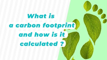 What is a carbon footprint and how is it calculated ?