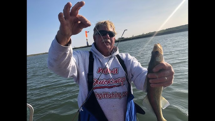 Boating TONS of Walleyes: Slow trolling with Wing-It Quick Swap Slip  Sinkers 