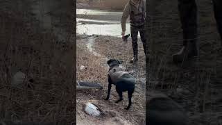 Icy River Duck Hunts are my favorites by far!