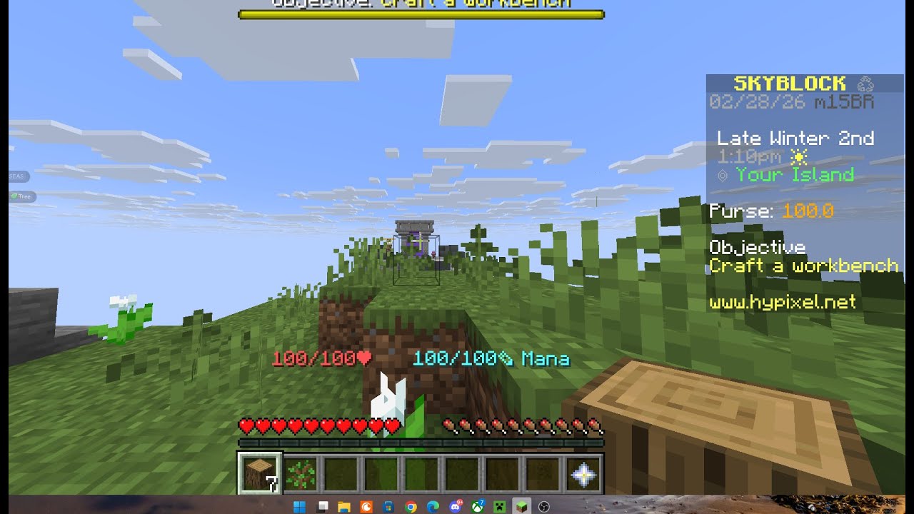 Hypixel Skyblock (Fixed sounds and what not from previous stream) - YouTube