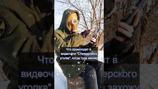 Вар, Вар, Ты здесь? #stalker #сталкер #memes #мемы #subscribe #подпишись