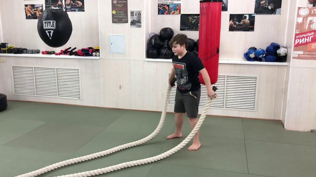 ��������� �������� British Dragon ���������: ����.