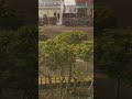 【ぼったくりBAR】沖縄【口コミ最悪の店】