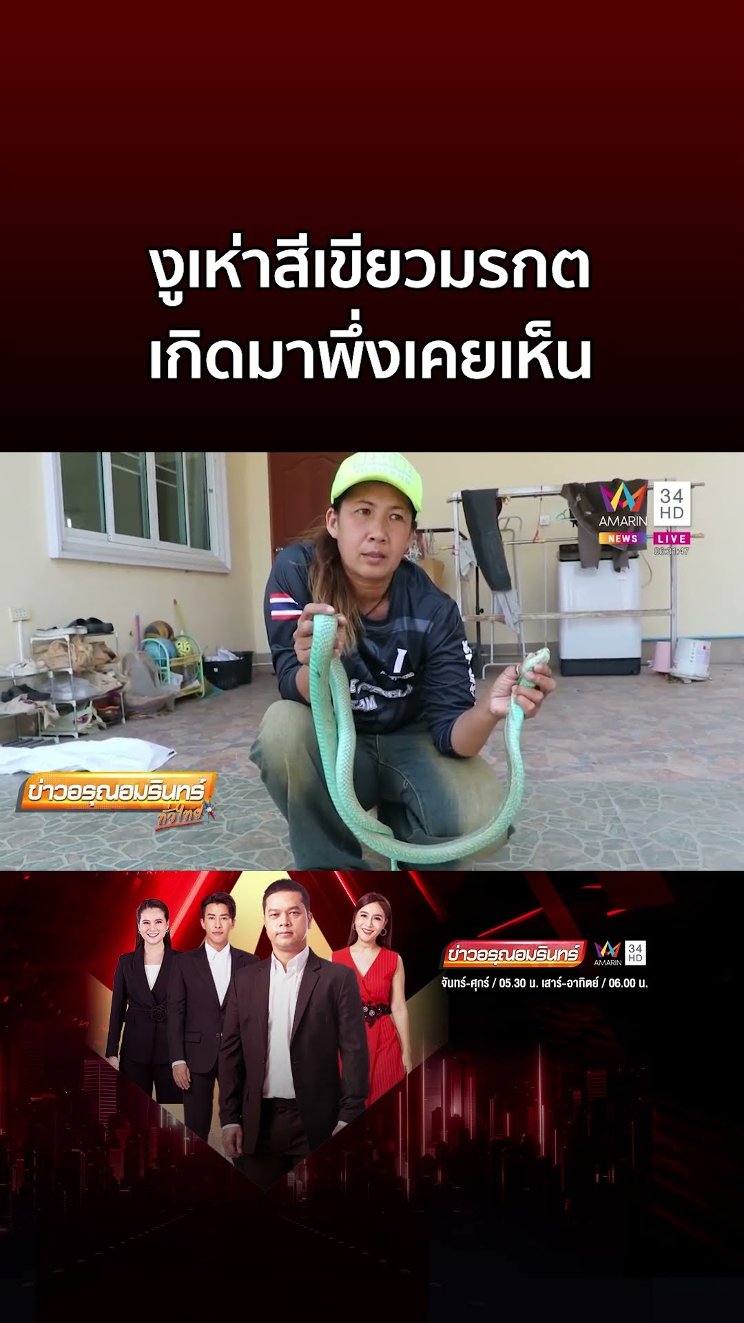 สุดแปลก! งูเห่าสีเขียวมรกต ลายดอกจันสวยแปลกตา | ข่าวอรุณอมรินทร์