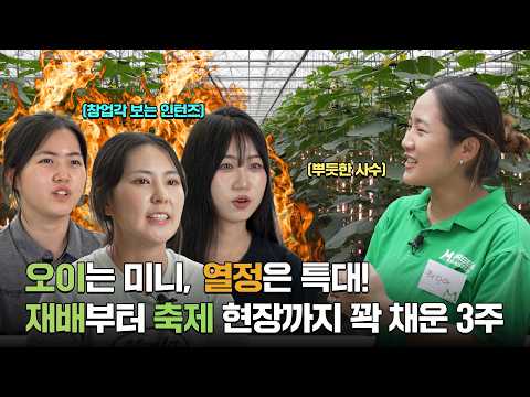 [Still an intern, but I want to live my best life] EP.3 Mini cucumbers, extra-large passion! 🥒