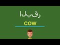 كيف أقول البقر بالل غة الإنجليزي ة 