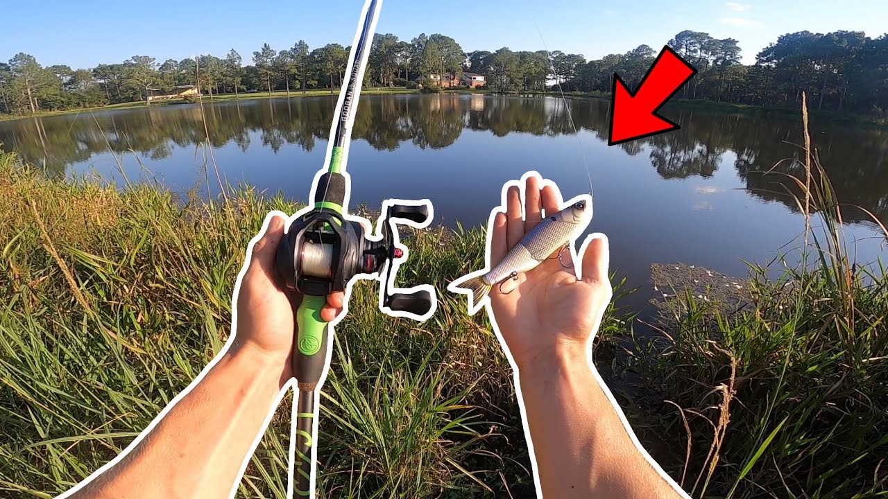 I tested out Walmart’s MOST EXPENSIVE Glide-Bait!! (GIANT BASS)
