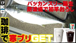 ブリを珈琲でＧＥＴ(23話目)