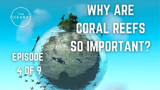 THE OCEANCY LEARNING - EPISODE 4 OF 9 - WHY ARE CORAL REEFS SO IMPORTANT?