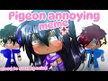 POV Ep 2 The Chaotic Day Pigeon Annoying Meme Version AphmauЁЯТЬ Close To 600K Special ЁЯОЙ POV Ep 2 The Chaotic Day Pigeon Annoying Meme Version AphmauЁЯТЬ Close To 600K Special ЁЯОЙ