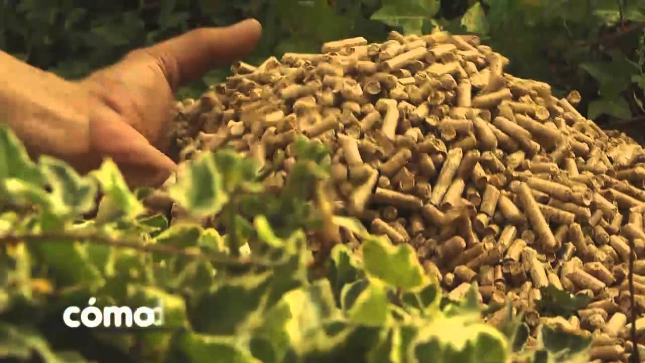 Granulés et pellets Pas si écolos que ça ! - Hortus Focus I mag