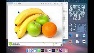 Part 2: Image Pre-processing  and Data Augmentation