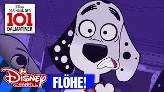 Das Haus Der 101 Dalmatiner - Clip Flöhe Disney Channel