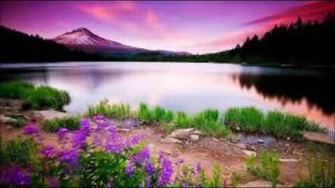 Bonus Points - Hammock Days