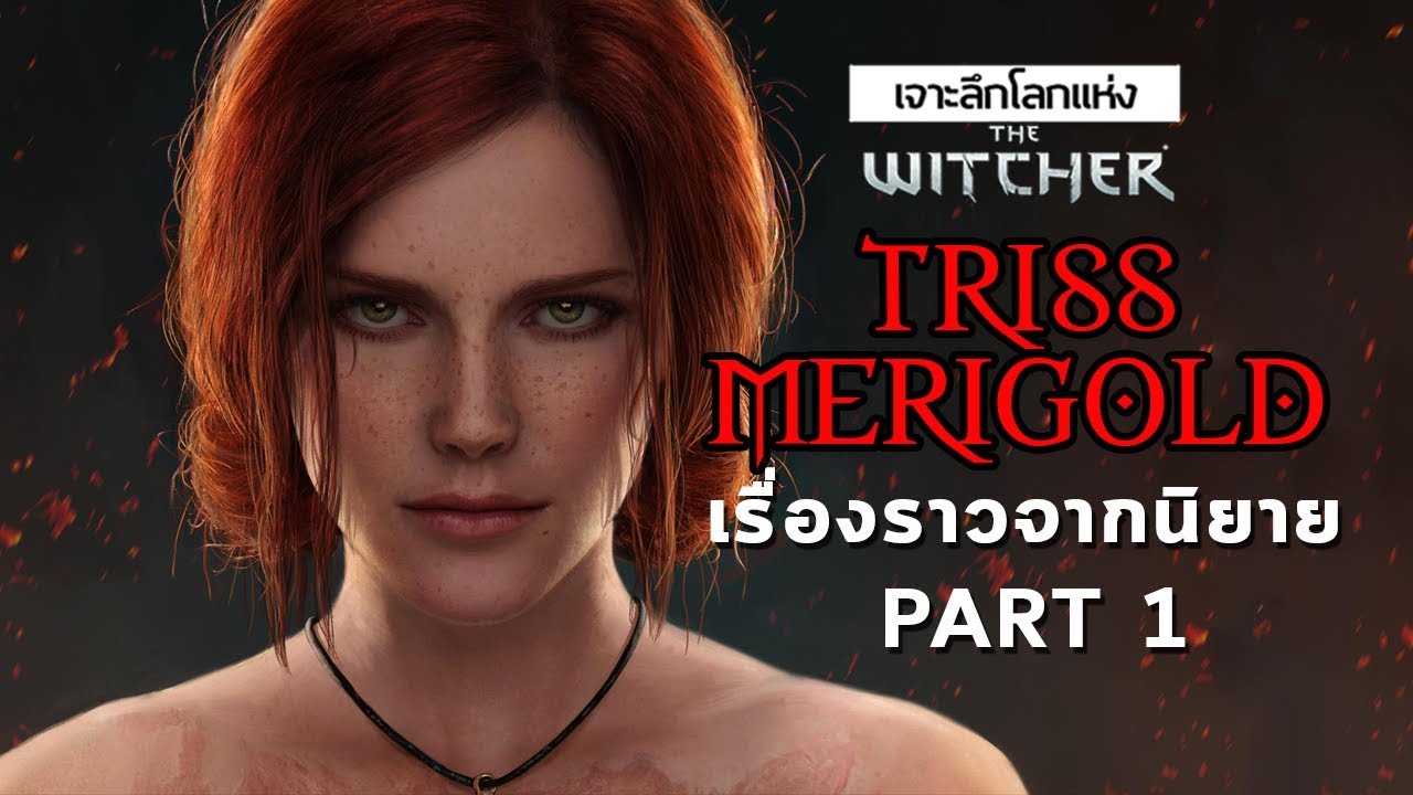 นิยาย the witcher  New  เจาะลึกโลกแห่ง The Witcher | Triss Merigold กับปฐมบทสงครามแห่งแดนเหนือ [Part1]