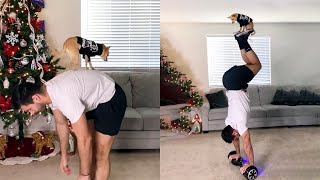 Dog and Owner Do Tricks With a Hoverboard