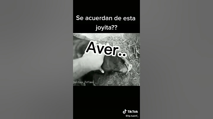 Se acuerdan de esta joyita??