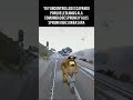 Créditos a uncontrolled por el video #Humor
