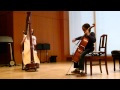 Andantino Harp &amp; Cello Duet