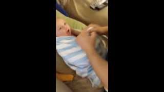 Baby Likes The Taco Song