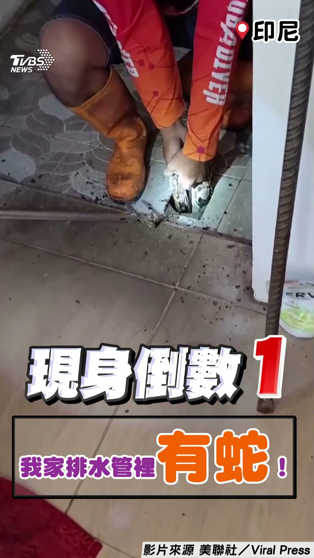 印尼婦見「3公尺巨蟒」堵排水管嚇傻　急報警求助將其拔出排除!｜TVBS新聞@TVBSNEWS01