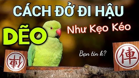 Bài 3 : Những cách đỡ đi hậu - Bài giảng Mr Bill cờ tướng