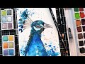 You Asked For It! Pretty Peacock Painting Tutorial // Inktense or watercolor