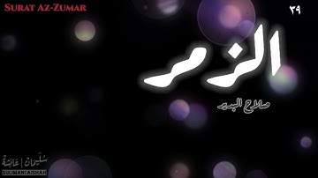 سورة الزمر - صلاح البدير