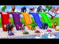 Choose the right button slider wild animals pool game cow dinosaur elephant gorilla game funny