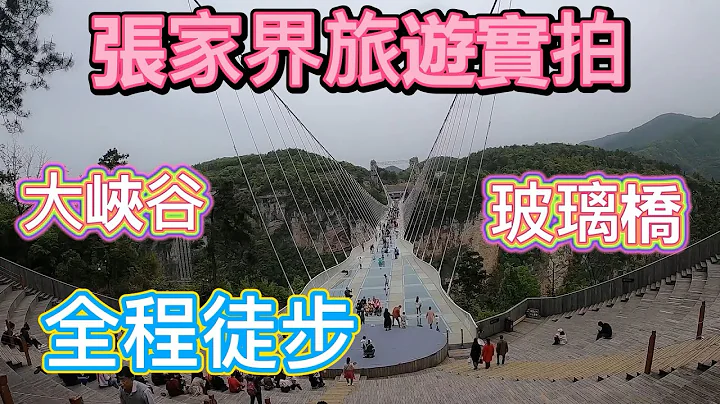 張家界旅遊3：大峽谷玻璃橋景點遊覽全過程實拍，刺激！徒步大峽谷全程超級美 - 天天要聞