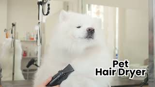 ABK Grooming I Pet Grooming And Veterinary Equipments by ABK Grooming 25,826 views 3 months ago 31 seconds